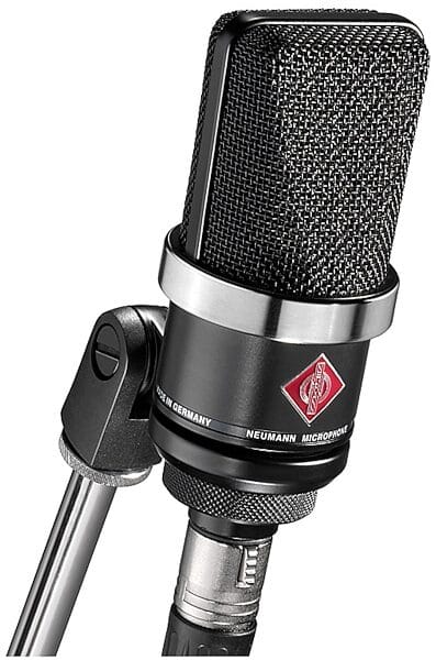 Neumann TLM 102 Microphone